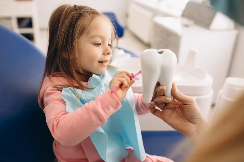 Child learning about dental hygiene at one of Billings, MT's top 5 dental clinics using a toothbrush and a large tooth model for educational purposes.